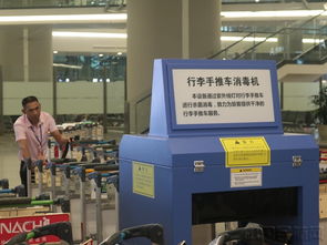 貫通愛心通道，虹橋機場迎接進博會 精品服務再升級